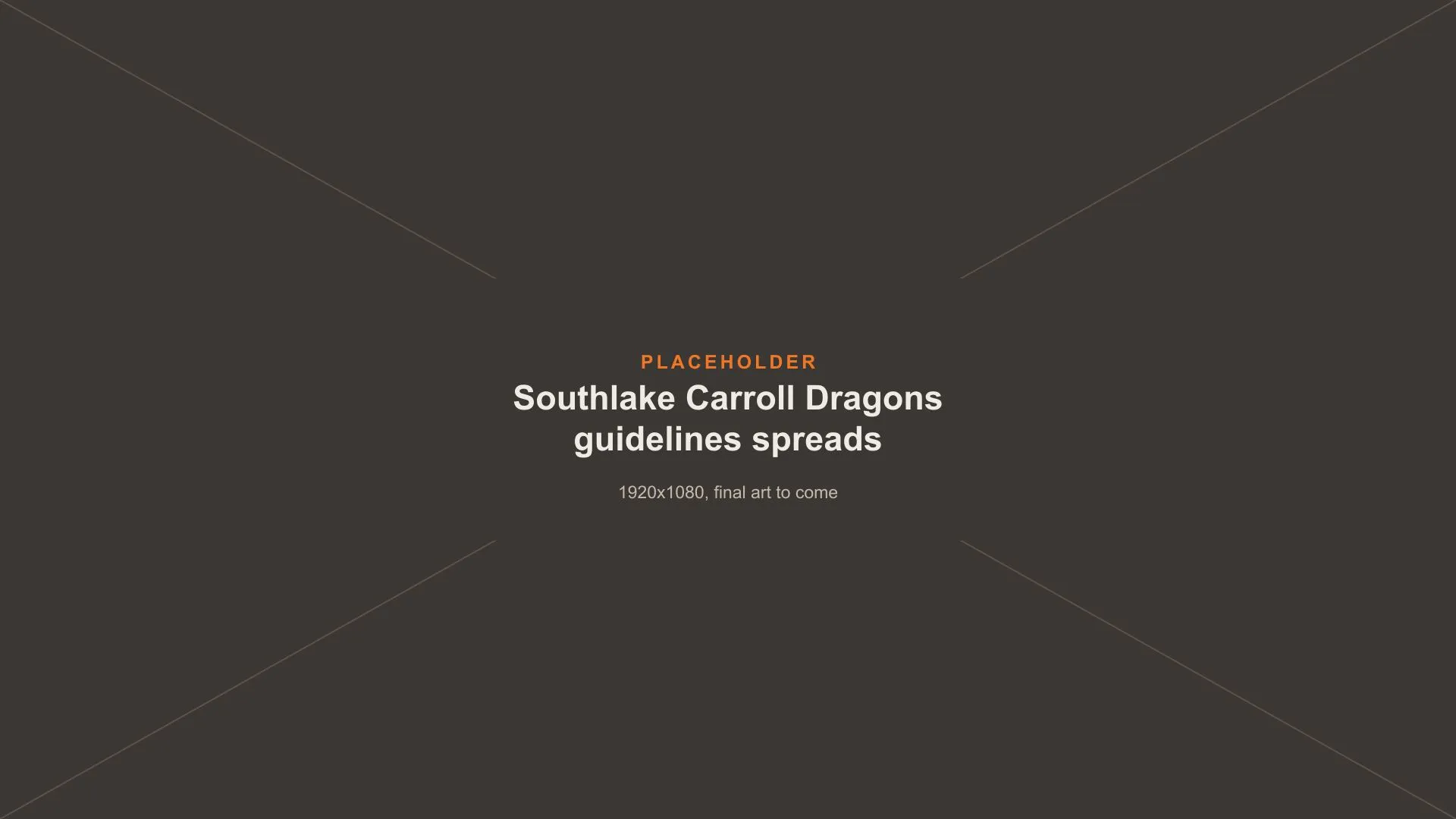 Placeholder image: Carroll Dragons brand guidelines spreads, final art to come