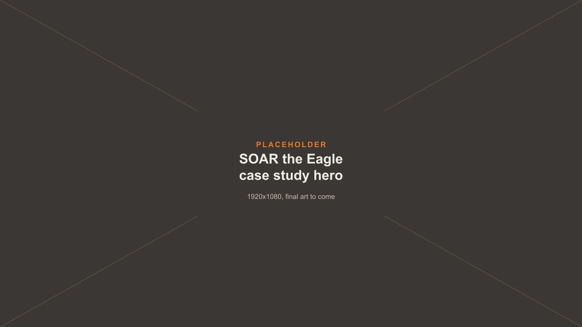 Placeholder image: SOAR the Eagle case study hero, final art to come